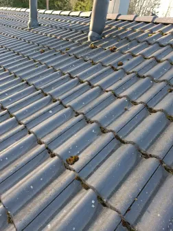 Jälkeen pinnoituksen